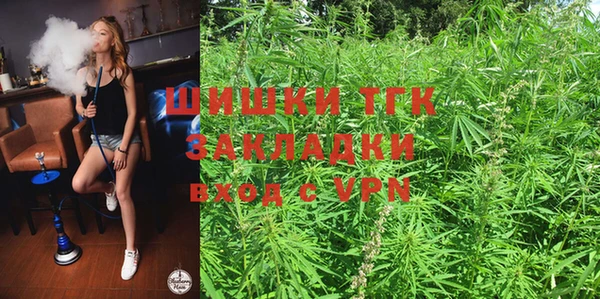 ПСИЛОЦИБИНОВЫЕ ГРИБЫ Алзамай