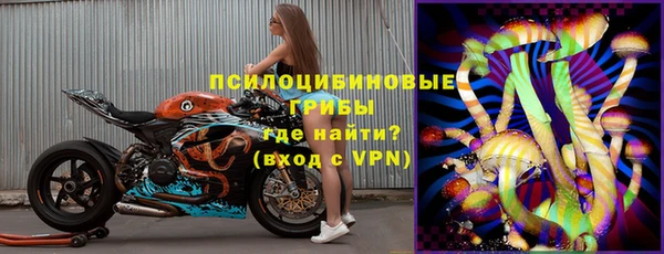 ПСИЛОЦИБИНОВЫЕ ГРИБЫ Алзамай