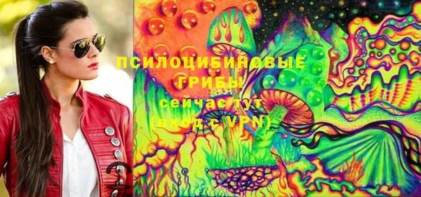 ПСИЛОЦИБИНОВЫЕ ГРИБЫ Алзамай