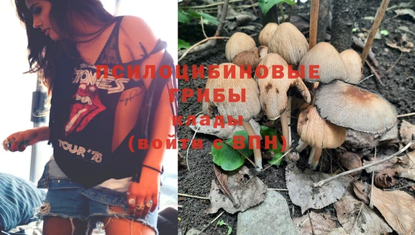 ПСИЛОЦИБИНОВЫЕ ГРИБЫ Алзамай