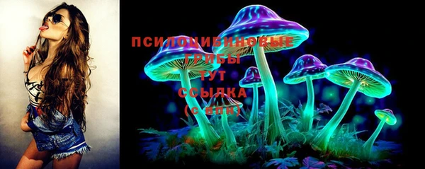 ПСИЛОЦИБИНОВЫЕ ГРИБЫ Алзамай