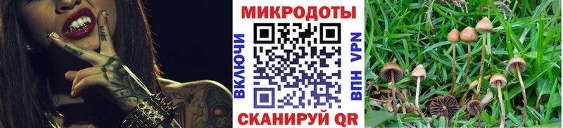 как найти наркотики  Благодарный  Псилоцибиновые грибы ЛСД 